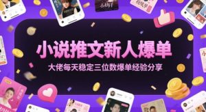 小说推文新人爆单大佬每天稳定三位数爆单经验分享-逐浪前行