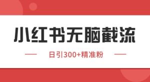 小红书截流同行客源,独家野路子获客玩法 日引200+暴力获客【揭秘】-逐浪前行