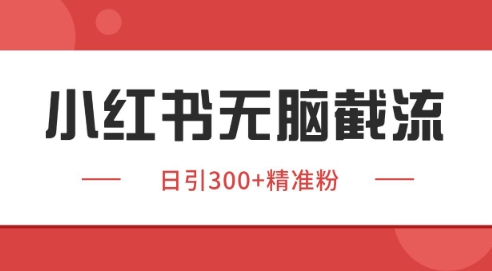 小红书截流同行客源，独家野路子获客玩法 日引200+暴力获客【揭秘】-逐浪前行