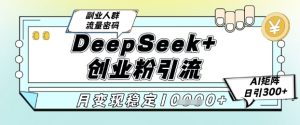 DeepSeek+创业粉精准引流,全新分享课4.0玩法,AI矩阵日引300+,多种变现方式,稳定月入1W-逐浪前行