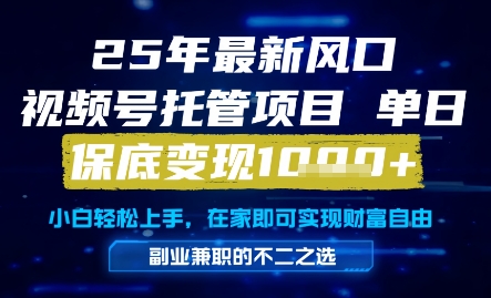25年最新风口，视频号托管项目，单日保底变现1k+，手把手教学【揭秘】-逐浪前行