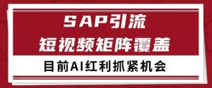 小红书某音sap赛道引流获客 自热矩阵日引200+【揭秘】-逐浪前行